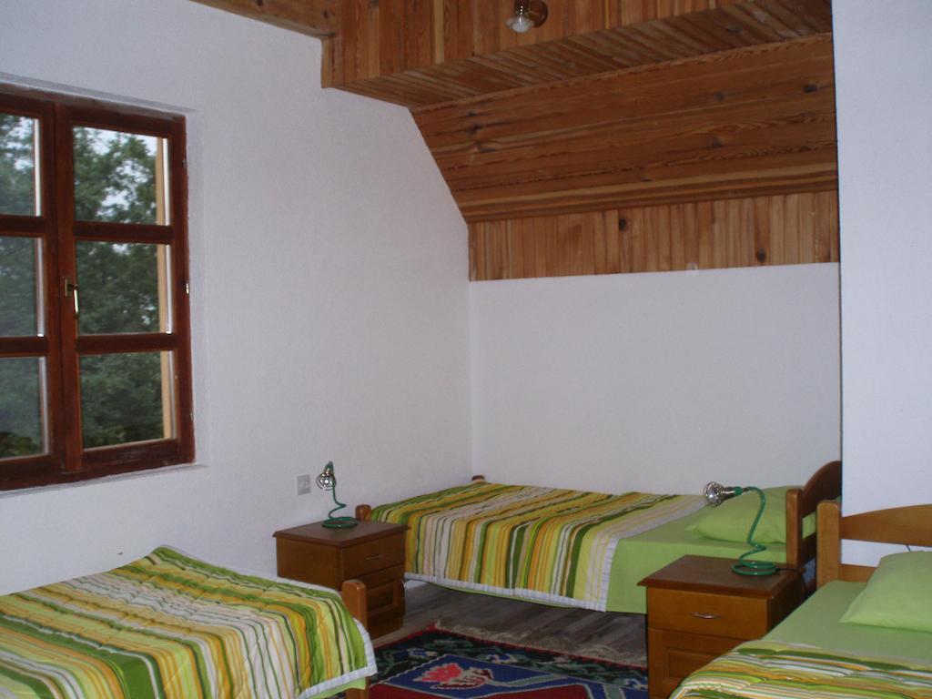 Guest House Tara Canyon Pljevlja Cameră foto