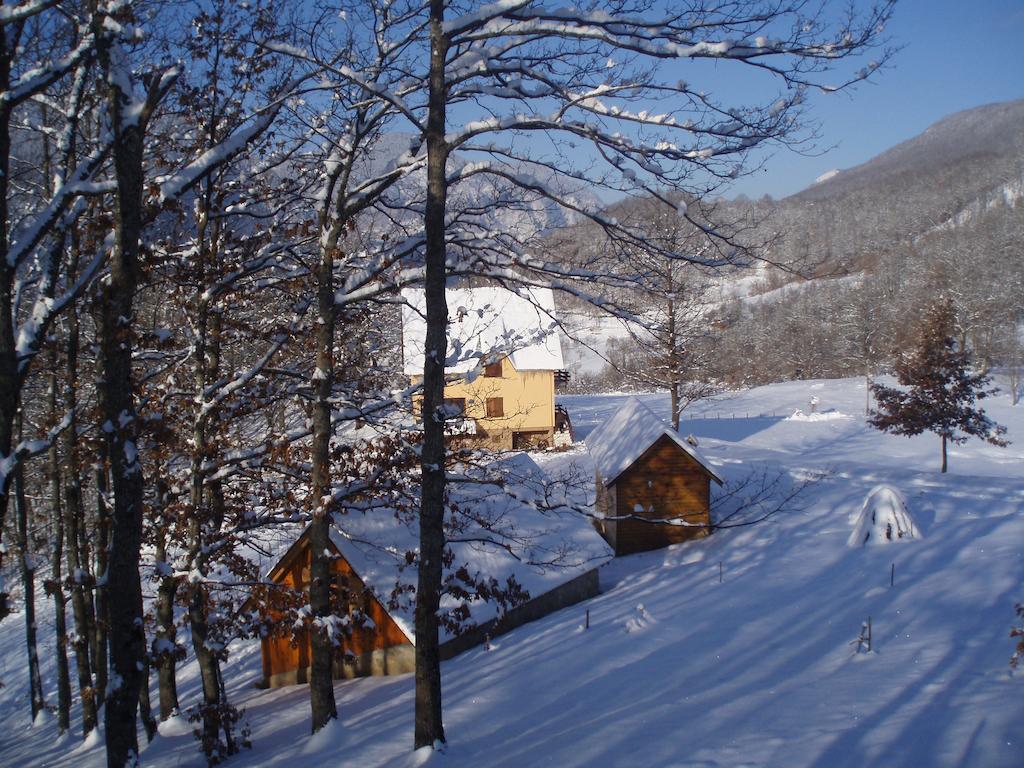 Guest House Tara Canyon Pljevlja Exterior foto